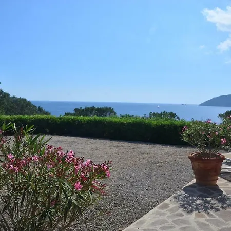 Dello Scrittore By Solturelba *