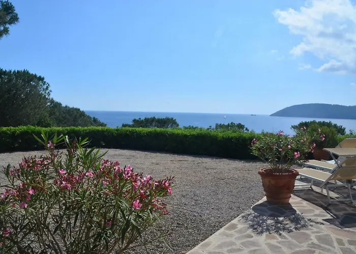 Dello Scrittore By Solturelba *