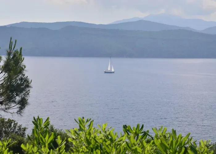 Dello Scrittore By Solturelba Villa